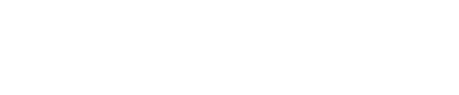 FS-SSS-Public-Safety-800